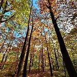 De Veluwe Europarcs Otterlo