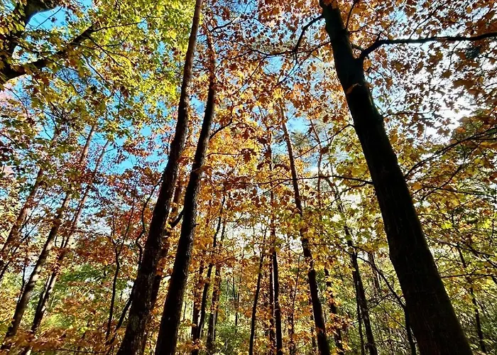 De Veluwe Europarcs Otterlo