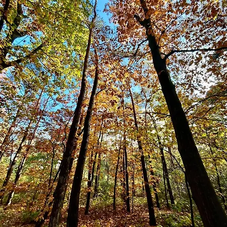 De Veluwe Europarcs Otterlo